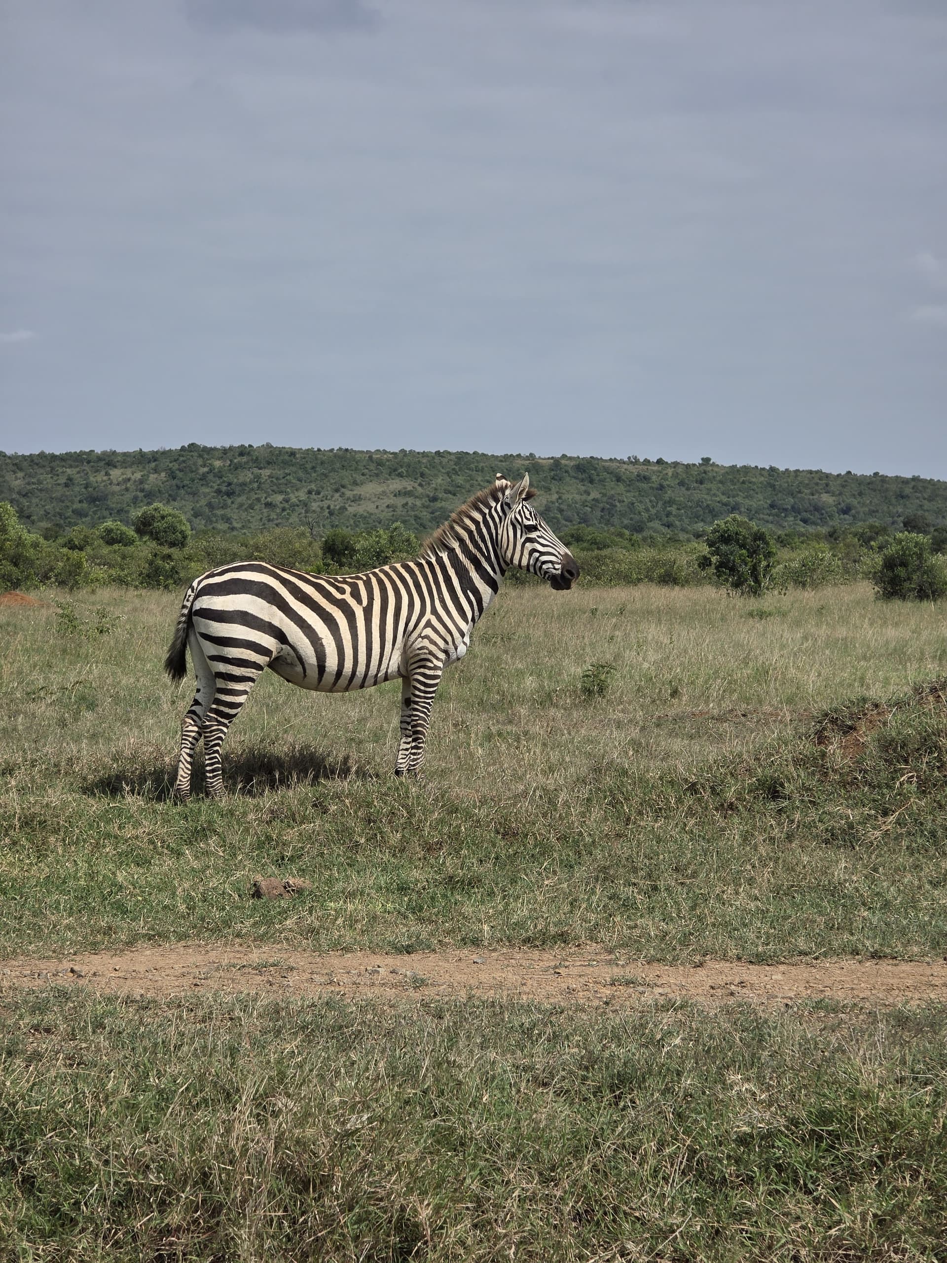 Lake Nakuru National Park