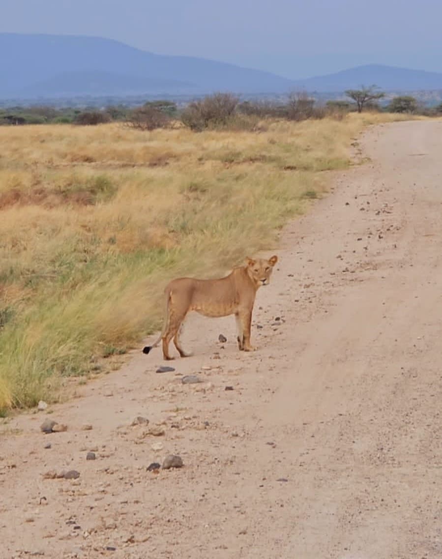 Queen Elizabeth National Park