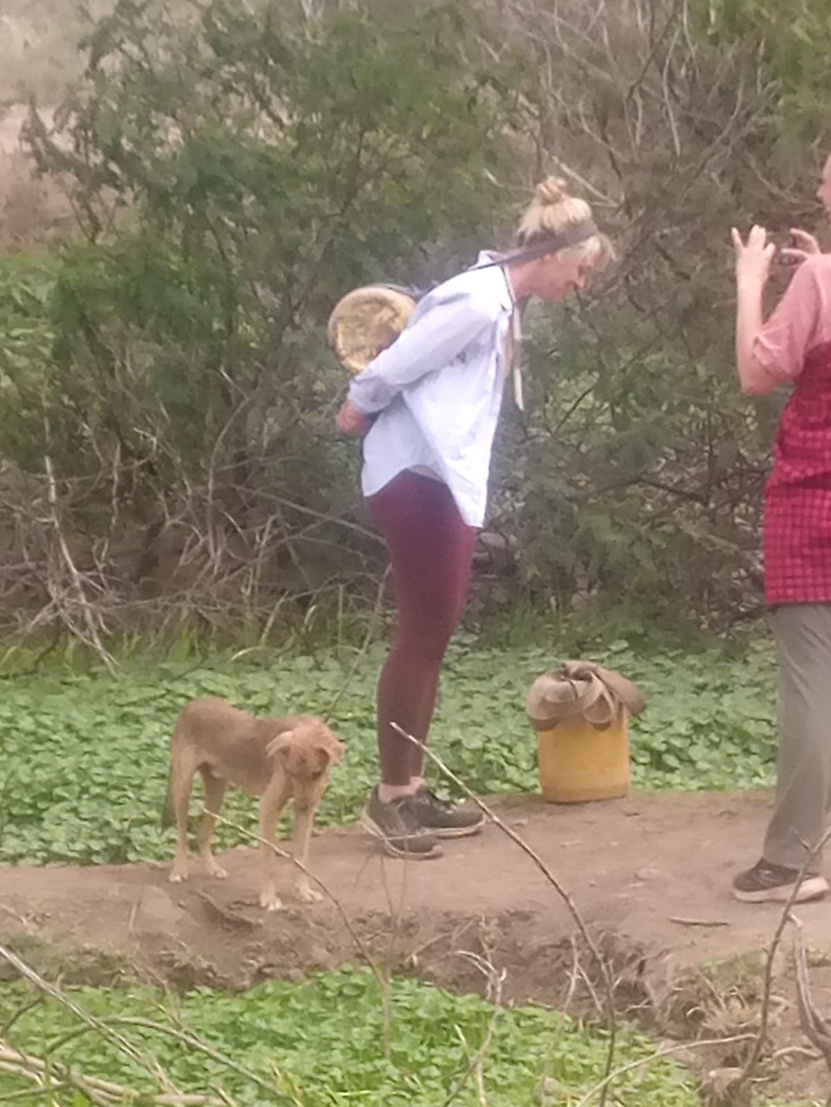 Sustainable Agriculture & Fish Farming Volunteer Program | Empower Rural Communities in Coastal Kenya” 3