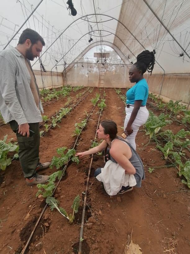 Sustainable Agriculture & Fish Farming Volunteer Program | Empower Rural Communities in Coastal Kenya” 4