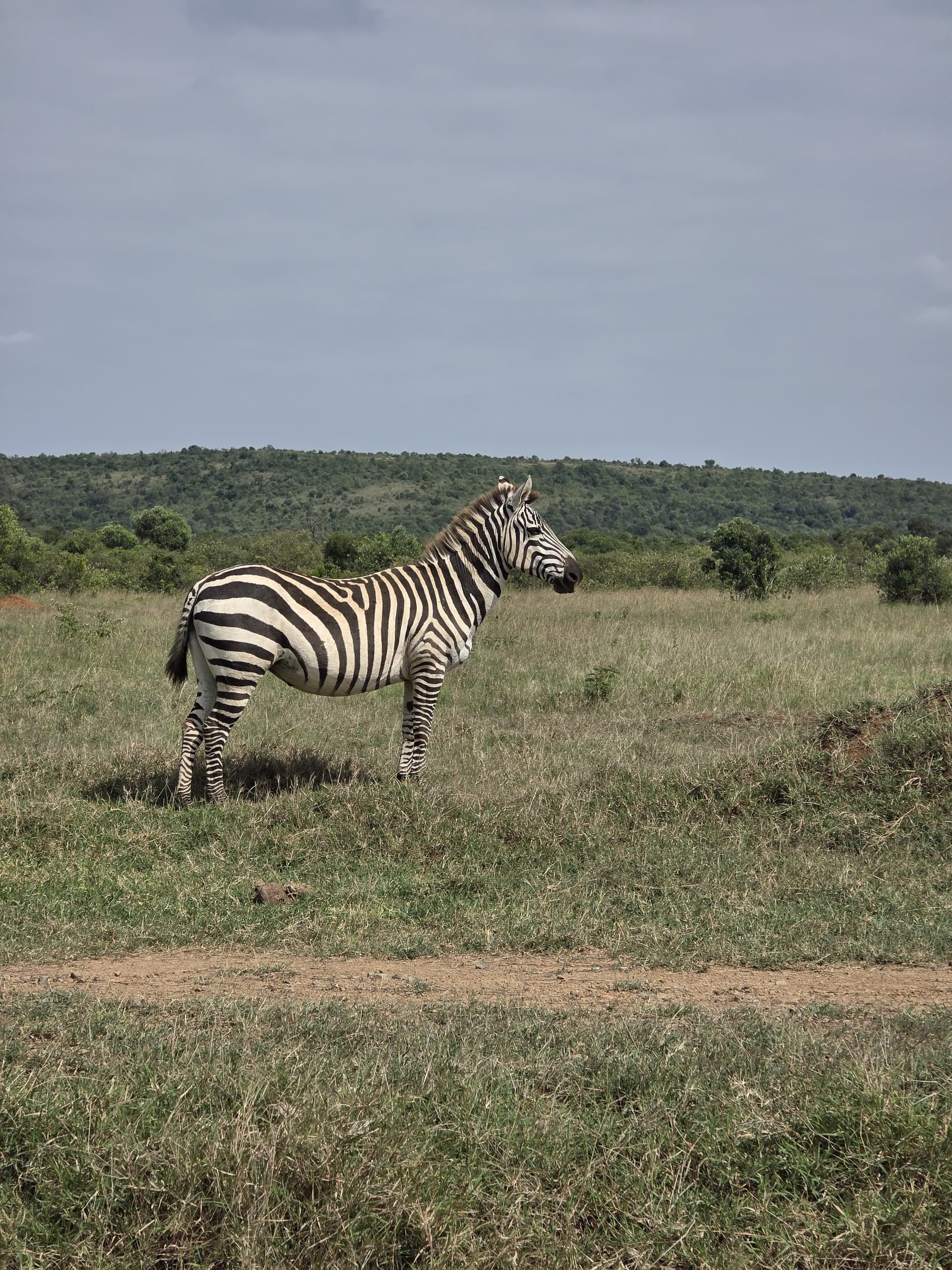 Lake Nakuru National Park