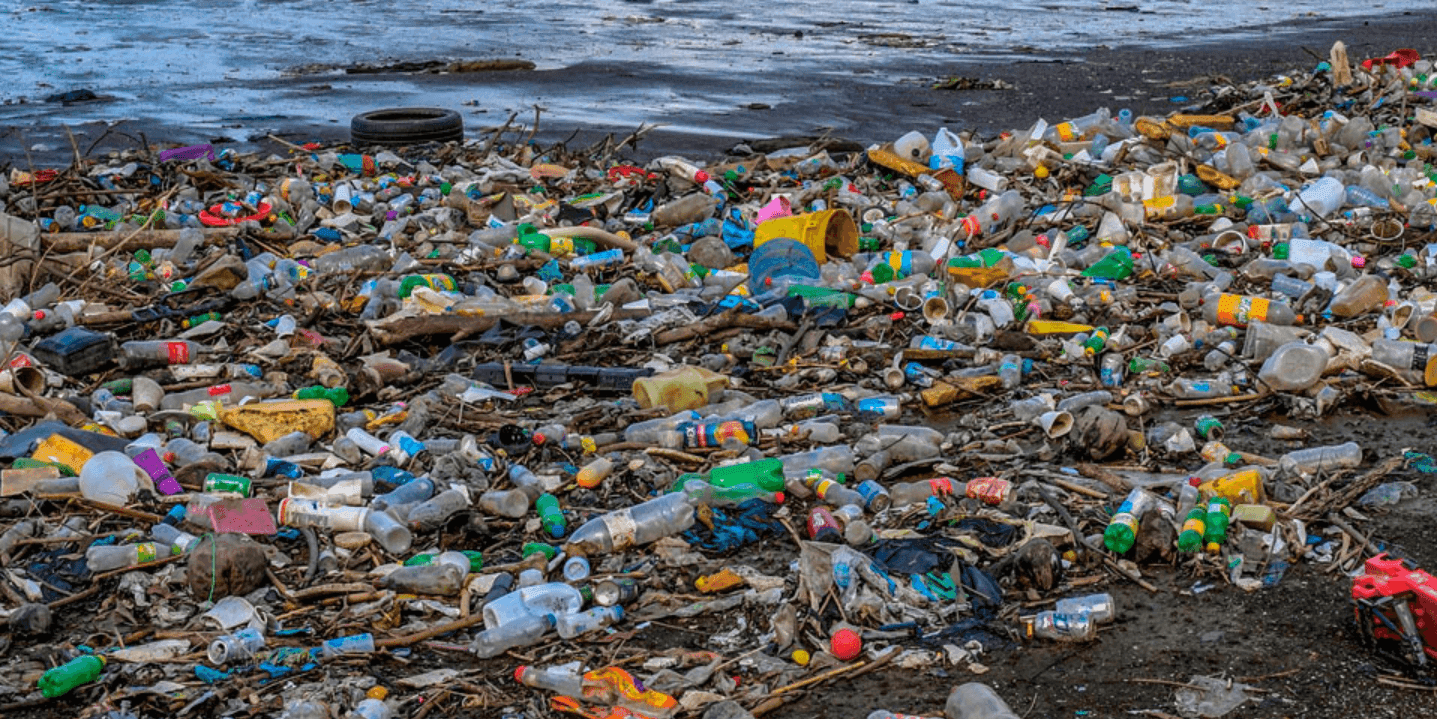 Plastic-Free Ocean Initiative | Environmental Support Volunteer