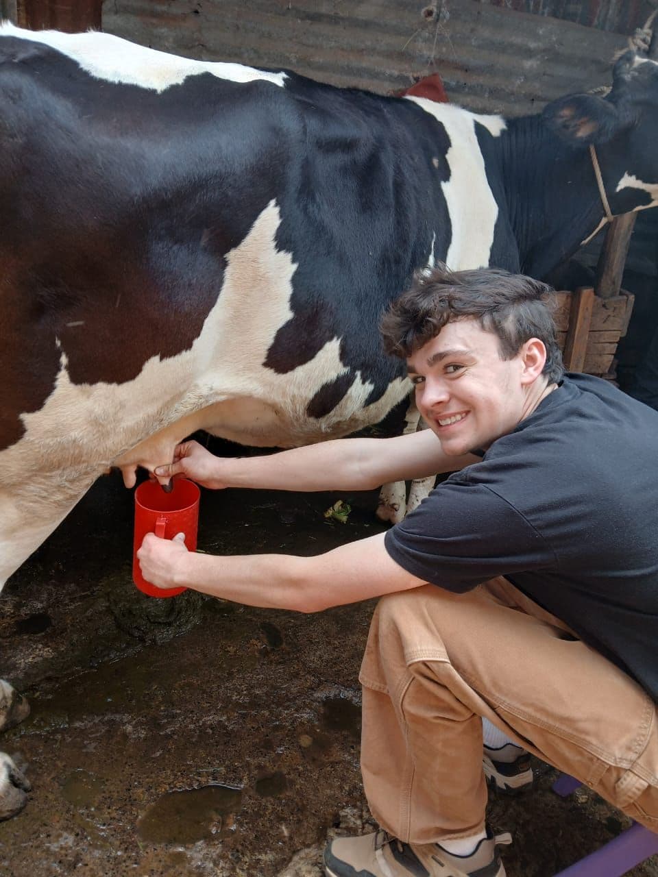 Climate-Smart Agriculture and Livestock Technician (Samburu) 2