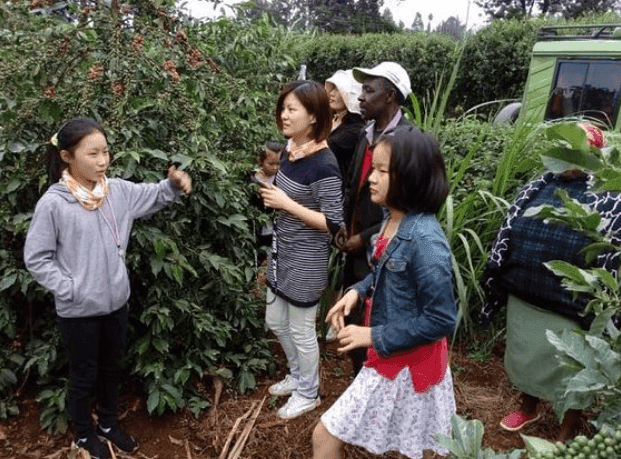 Eco-Farm Support & Ecotourism Volunteer Experience  5