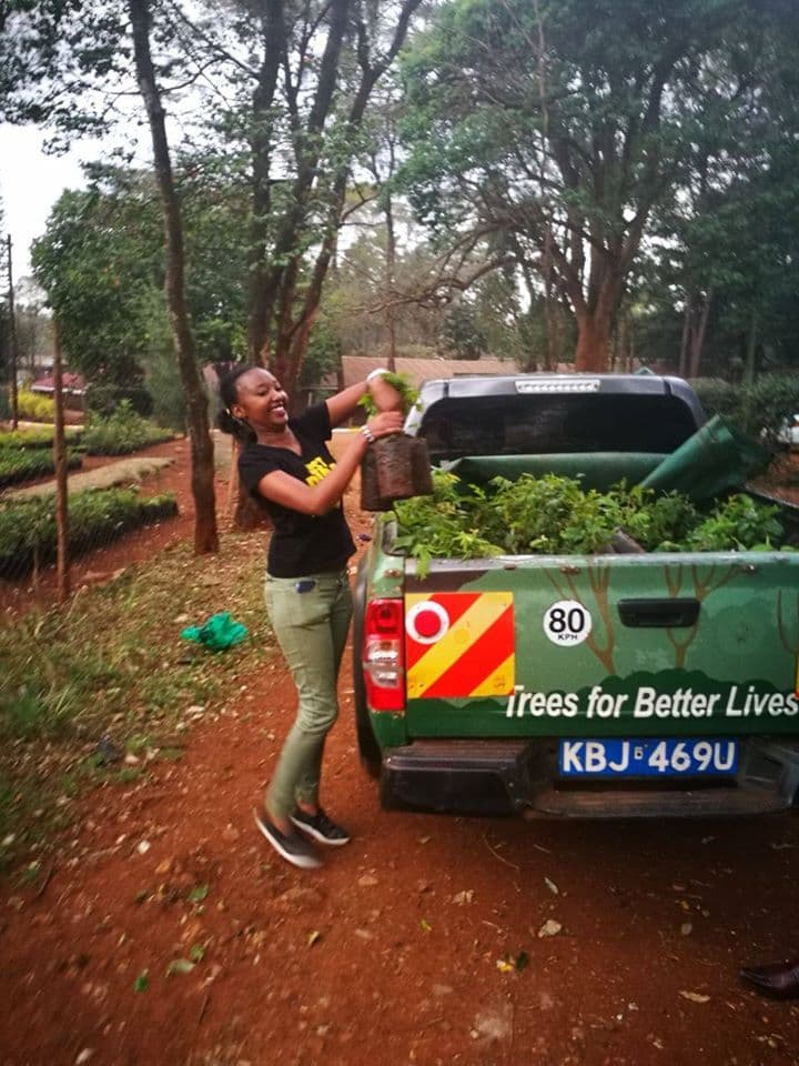 EcoAction & Environmental Conservation Assistant Volunteer Program 4