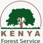 kenya-forestry